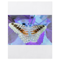 Butterfly flyers by spirited_doc Butterfly flyers