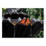 Butterfly Fountain Greeting Card