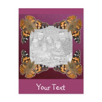 Butterfly Frame postcard