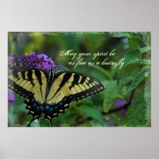 Printable Posters Free on Butterfly Free Spirit Poster Print Print