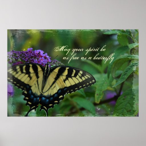 Butterfly Free Spirit Poster Print Zazzle