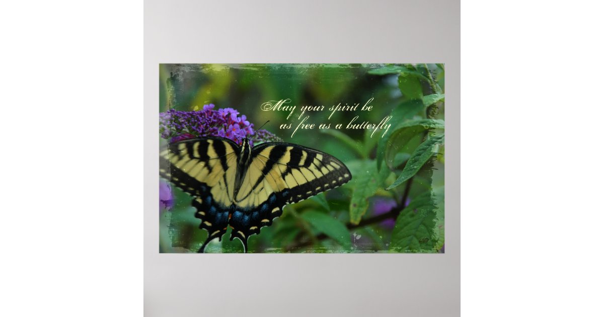 Butterfly Free Spirit Poster Print Zazzle