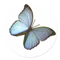 Butterfly Freiburg Germany Blue 45 deg The MUSEUM Round Stickers