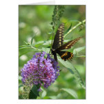 Butterfly Garden Greeting Cards