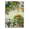 BUTTERFLY GARDEN GC4 Design cards