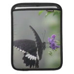 Butterfly Garden iPad Sleeve