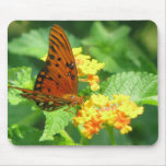 Butterfly Garden mousepads