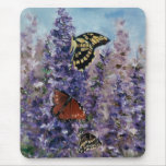 Butterfly Garden Butterfly Garden