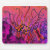 this, new, fun, desing, sunset, tones, with,