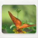 Butterfly Garden mousepads by iiiyaaa Butterfly Garden mousepads
