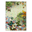 BUTTERFLY GARDEN NC3 Design cards
