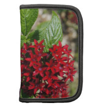 Butterfly Garden Organizer