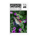 Butterfly Garden postage by bawilbur Butterfly Garden postage