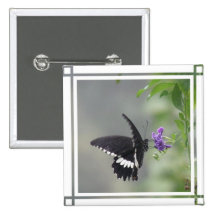 Butterfly Garden Square Pin