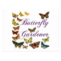 Butterfly Gardener Saying postcards