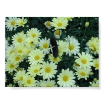 Butterfly Gardens 4 posters