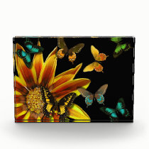 Butterfly Gardens awards