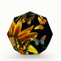 Butterfly Gardens awards
