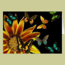 Butterfly Gardens cards