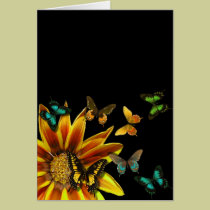 Butterfly Gardens cards