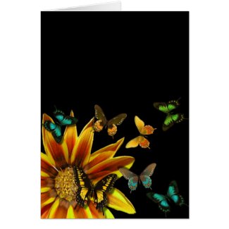 Butterfly Gardens Greetings and Notes