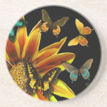 Butterfly Gardens coasters