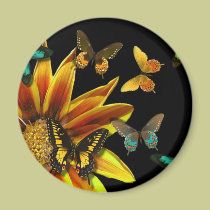 Butterfly Gardens magnets