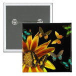 Butterfly Gardens Pinback Buttons