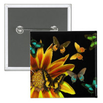 Butterfly Gardens buttons