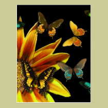 Butterfly Gardens postcards