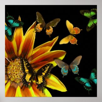 Butterfly Gardens Posters and Wall Art