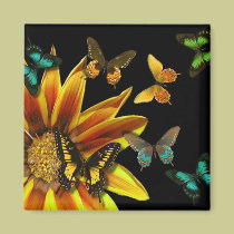 Butterfly Gardens magnets