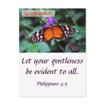 Butterfly - Gentleness Post Card