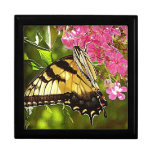 Butterfly Gift Box