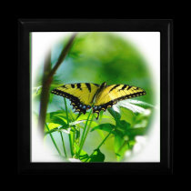 Butterfly Gift Box gift boxes