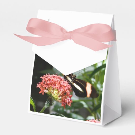 butterfly gift box/goodie bag favor box Zazzle