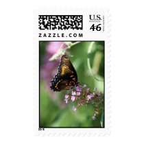 Butterfly Glitz   02 Postage Stamps