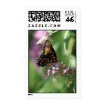 Butterfly Glitz   02 postage