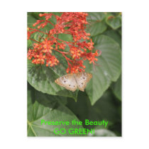 Butterfly - GO GREEN! Postcard