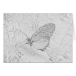 Butterfly cards