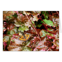 Butterfly cards