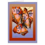 Butterfly greeting (Mother's Day)  Card