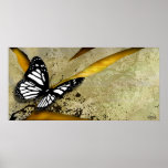 Butterfly Grunge Poster Print