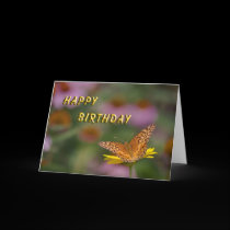Butterfly Happy Birthday cards