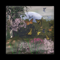 Butterfly Haven magnets