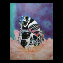 Butterfly Heaven posters
