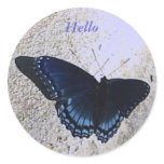 Butterfly Hello Sticker