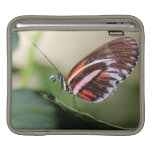 Butterfly Identification iPad Sleeve
