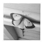 Butterfly In Black And White Tiles