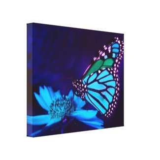 Butterfly in Blue Light Canvas Print wrappedcanvas